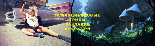 mdpv Медногорск