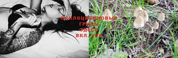 индика Магадан