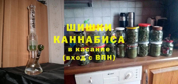 индика Магадан