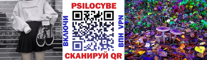 Псилоцибиновые грибы GOLDEN TEACHER  blacksprut онион  Волжский 