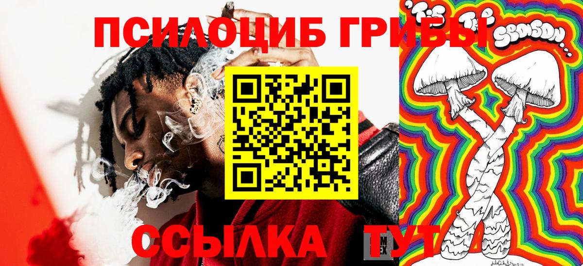 Галлюциногенные грибы мухоморы Волжский